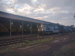 RUMO 9888